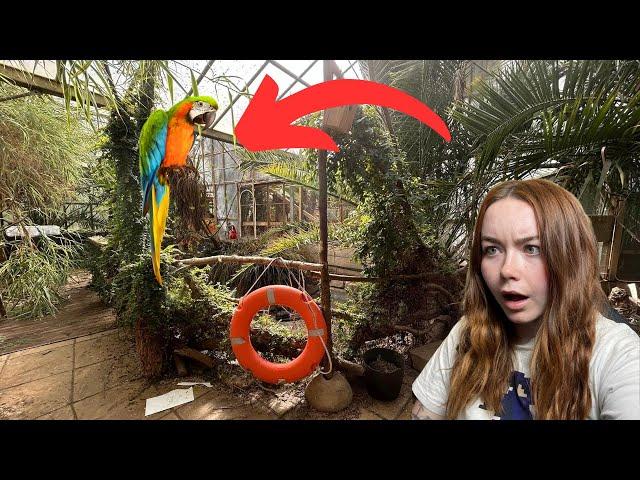 We Found An Abandoned Zoo With Animals Left Inside!!