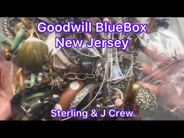 Goodwill BlueBox 5 Pound New Jersey Jewelry Bag Sterling Silver J Crew #jewelry #goodwill #unboxing