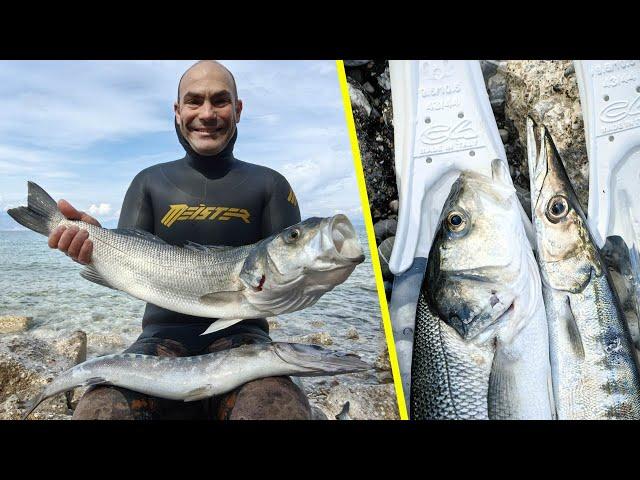 10 crazy spearfishing minutes! Trial of the experimental transparent C4 new fins!!