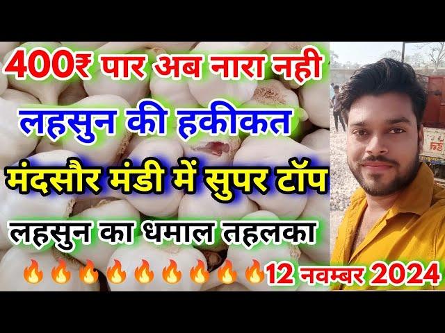 मंदसौर मंडी का सुपर टॉप क्वालिटी लहसुन का भाव | Aaj Ka lahsun Bhav | Super Best Quality Garlic Rate