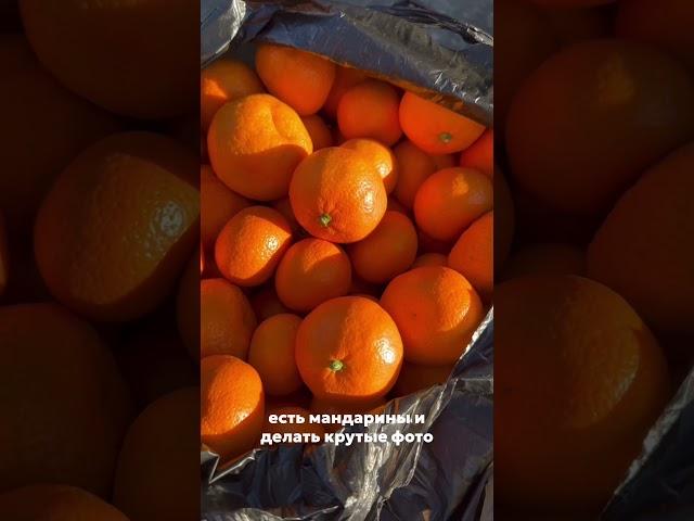 В Сочи зимой , а лучше на Новый год  Развлечений полно , погода классная, природа богатая  #сочи