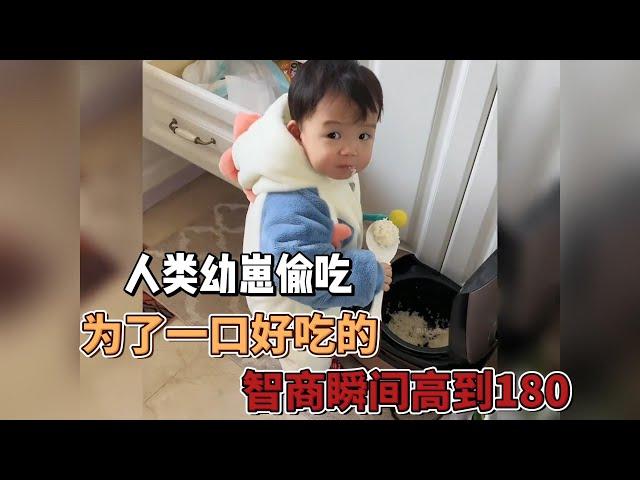 人類幼崽爆笑偷吃，掩耳響叮當，爲了一口好吃的，幼崽智商瞬間吊打愛因斯坦！