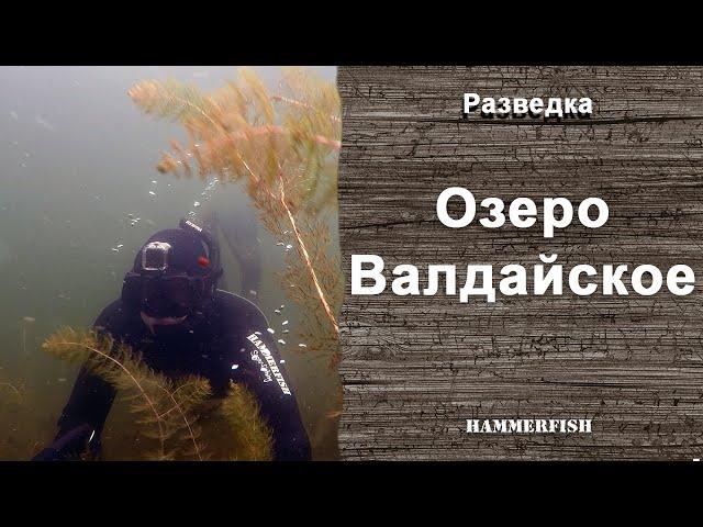 Валдайское озеро. Подводная охота на Валдае. Гидрокостюмы HAMMERFISH