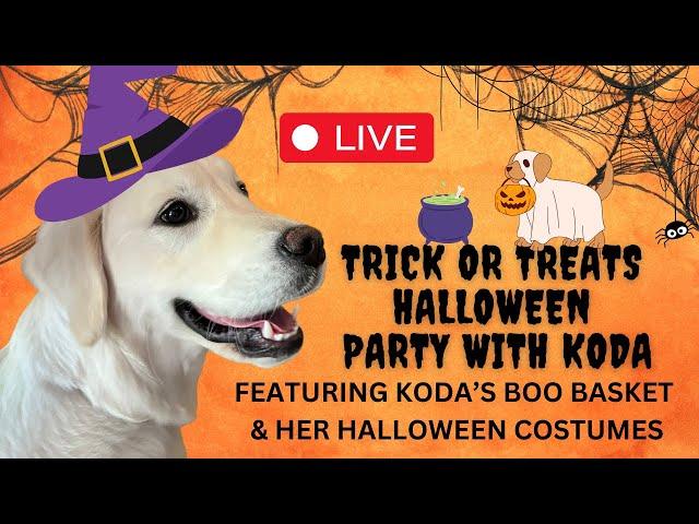 LIVE - Trick Or Treats Party With Koda & Friends 