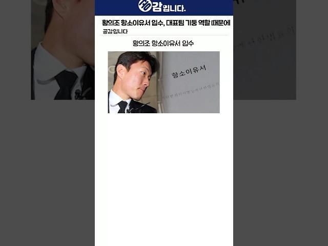 황의조 항소이유서 입수, "대표팀 기둥 역할 때문에"