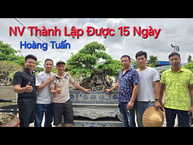 QUÁ BẤT NGỜ với NV HOÀNG TUẤN - Thủy Nguyên mới THÀNH LẬP VƯỜN ĐƯỢC 15 NGÀY nhưng Cây Đẹp Rất Nhiều.