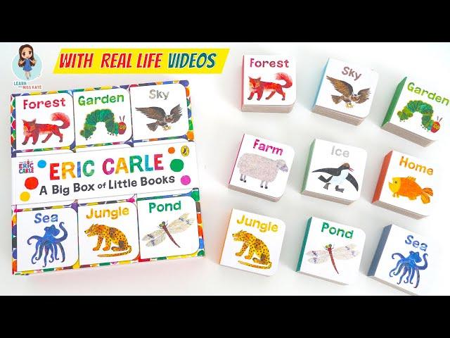 Eric Carle Big Box of Little Books Read Aloud | First Words for Babies & Toddlers | Speech Therapy