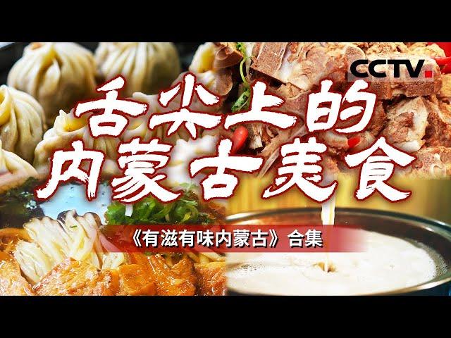 内蒙古的牛羊肉有多好吃？从南到北没人不爱！烤全羊 手扒肉 布里亚特包子......以美食文化为线索 绘制出一幅宏大的内蒙古人文画卷！【CCTV纪录】