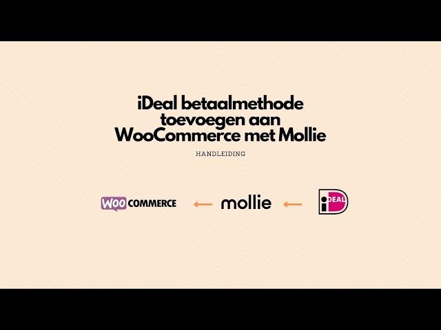 Ideal betaalmethode toevoegen aan WordPress WooCommerce website met Mollie