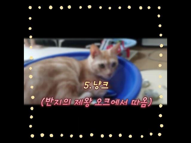 망고의 별명2