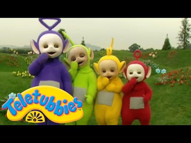 Teletubbies | Let's Learn Up To 5! | Shows for Kids