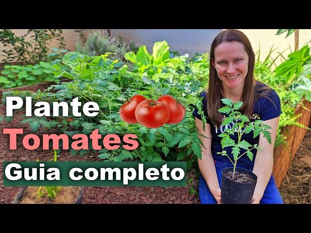 How to Plant Tomatoes - Complete Guide to Successful Planting