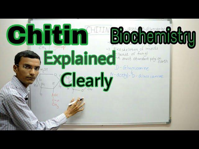 Chitin | Chitin structure | Biochemistry