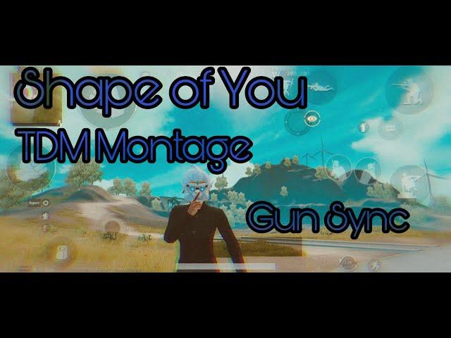 TDM MONTAGE | SHAPE OF YOU | GUN SYNC