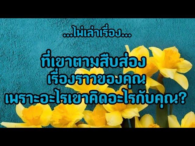 ไพ่เล่าเรื่อง🩷เขาตามสืบส่องเรื่องราวของคุณเพราะอะไร?เขาคิดอะไรกับคุณ⁉️#IDkarn23956#ดูดวงส่วนตัว