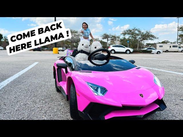 MY LLAMAS RAN AWAY !! | OPENING UP REAL LITTLES BACKPACKS !!