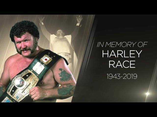 Harley Race Studio Shoot Interview DVD (Complete - FREE!) wwe wwf nwa hall of fame