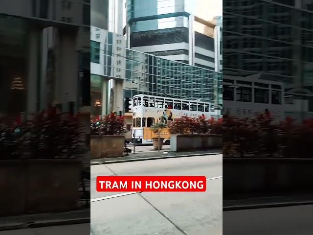 Hongkong TRAM cheapest fare wherever you go |convenient transpo in Hongkong