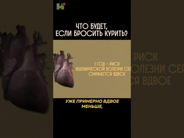 Что будет, если бросить курить? #наука #никотин #курение #броситькурить