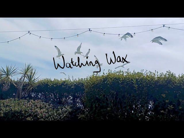 BERRIES - Watching Wax (Official Video)