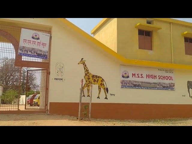Rcm Tulsi Paints