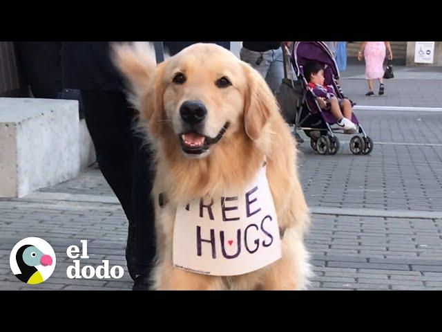 Perro viaja ofreciendo abrazos gratis I El Dodo