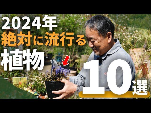 【完全版！】2024年オススメのトレンド植物を紹介！プロが初心者にもわかりやすく解説！【植栽】