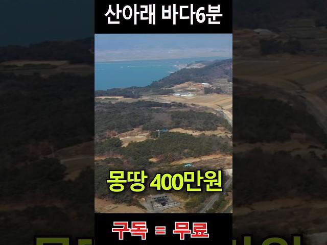 산아래 바다6분 저수지1분에 위치한 주말농장땅 150평이 몽땅 400만원