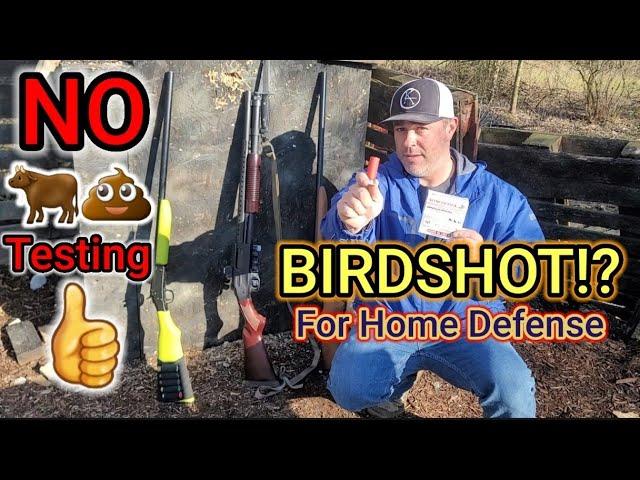 BIRDSHOT For Home Defense? NO  Testing. Full, Modified, Cylinder Chokes.....