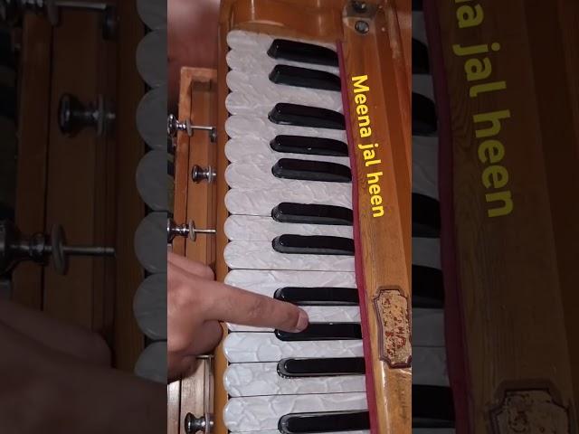 meena jal heen hai learn shabad on harmonium easy  learn bhai mohinder singh sdo