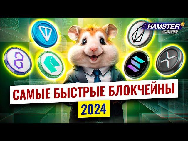 От Ripple до TON: топ-6 самых быстрых блокчейнов, бьющих рекорды ️ Hamster Academy