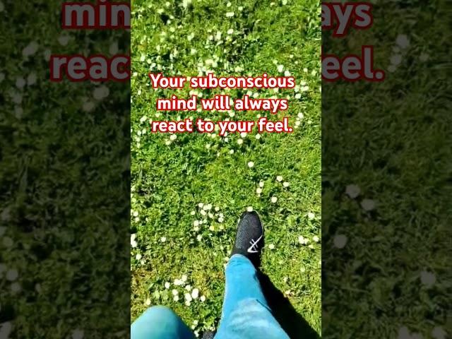 Align your subconscious mind to how you feel #cohérence #mentalhealth  #emancipate  #alignment