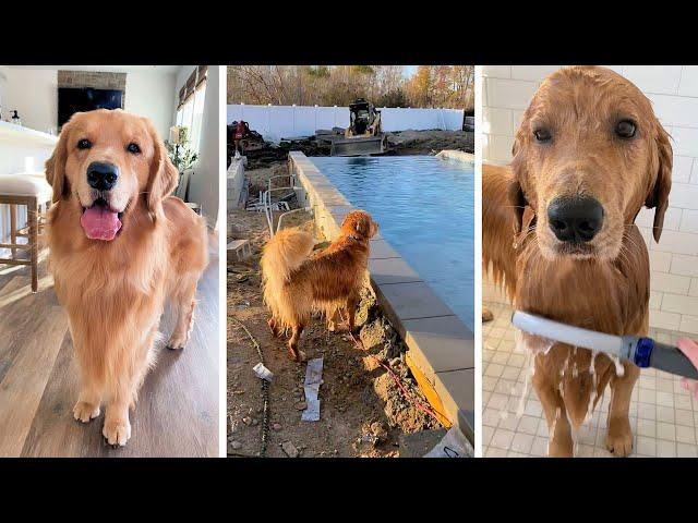 First Swim In My New Pool