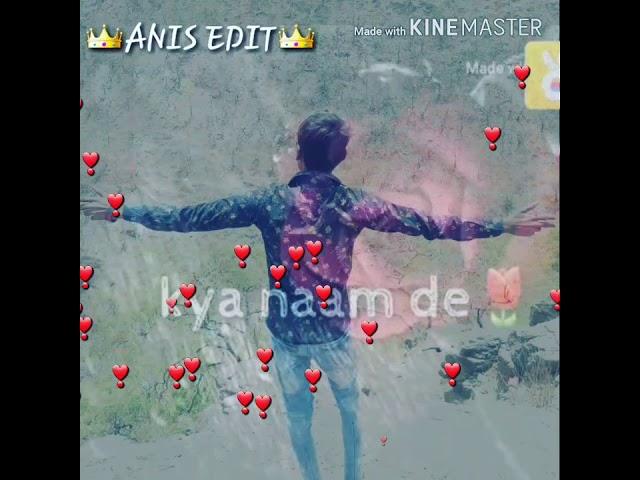 Anis Edit