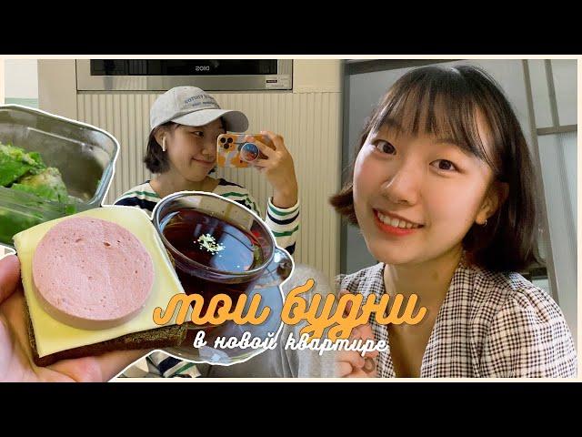 ПОЧЕМУ Я РЕШИЛА ЖИТЬ ОДНА? / МОИ ПЛАНЫ НА БУДУЩЕЕ / ПОЛ ДЭНС  [КОРЕЙСКАЯ СТУДЕНТКА ЧЕРИШ]