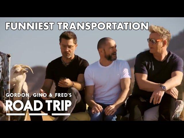 Transportation Is Never Easy With These Three! | Gordon, Gino And Fred Road Trip