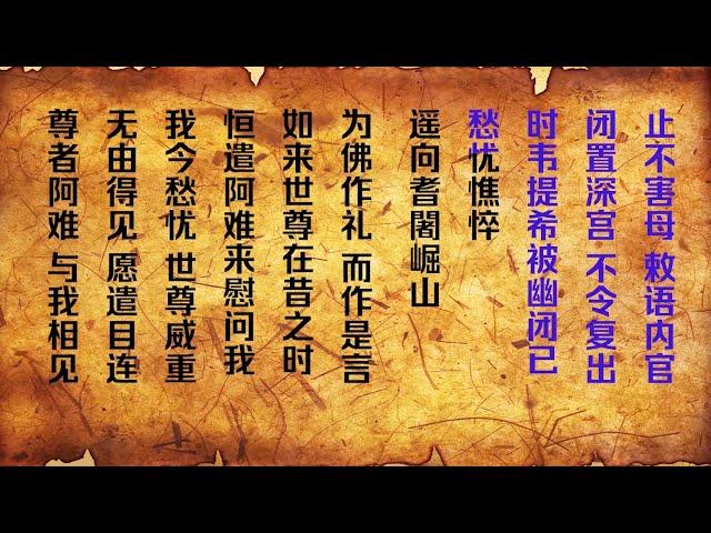 《观无量寿经》国家一级播音员读诵 简体版