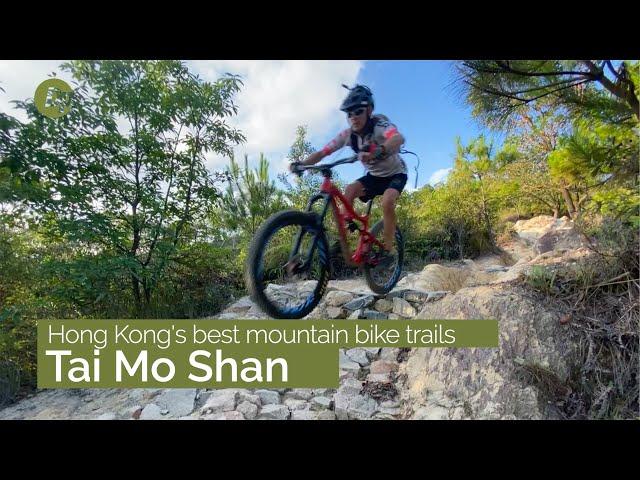 Tai Mo Shan | Best Mountain Bike Trails