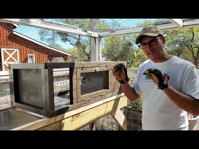 Building Quail Cages