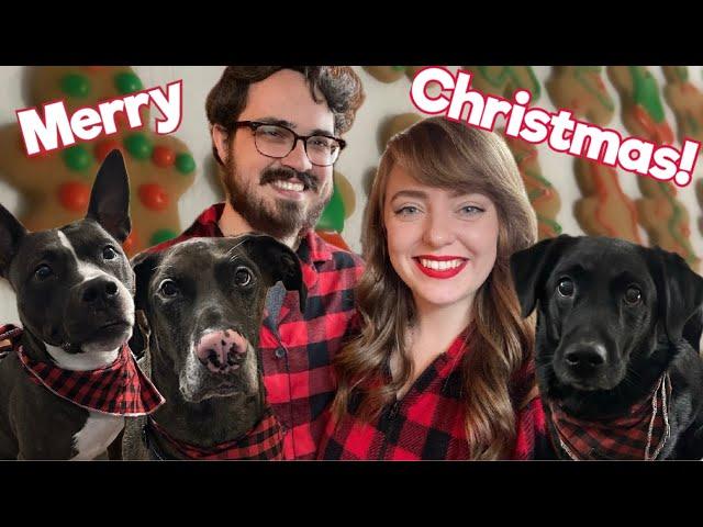 Our Dogs Do NOT Get Along...Yet | Christmas & Dog Vlog