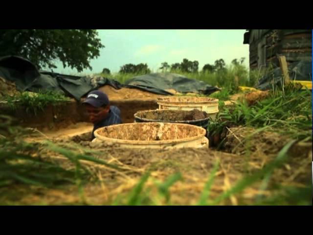 Illinois Archaeology In the Field and In the Lab