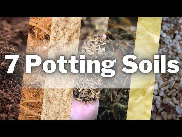 7 Different Potting Soils You Can Use! Mold & Gnats FREE Options