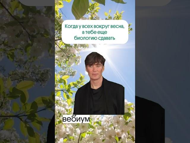 Весна  #биология #11класс #школа