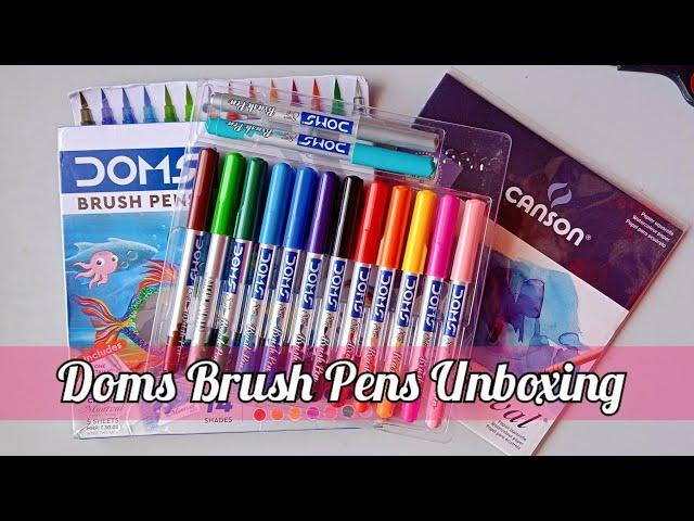 Doms Brush pens 14 shades unboxing | #unboxing #doms