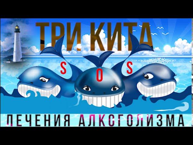  ТРИ КИТА VS АЛКОГОЛИЗМ: ФУНДАМЕНТАЛЬНЫЕ ПОНЯТИЯ ПРИ ЛЕЧЕНИИ ЗАВИСИМОСТИ ОТ АЛКОГОЛЯ, ПИВА, ВОДКИ