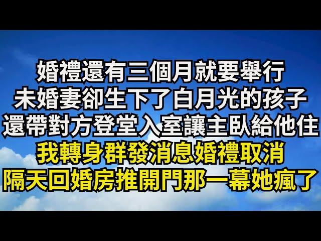 婚禮還有三個月就要舉行，未婚妻卻背著我生下白月光的孩子，還帶對方登堂入室逼我主臥讓給他住，我轉身群發消息婚禮取消，隔天她回婚房推開門那一幕她瘋了【清風與你】#激情故事#大彬情感#夢雅故事#小說#爽文