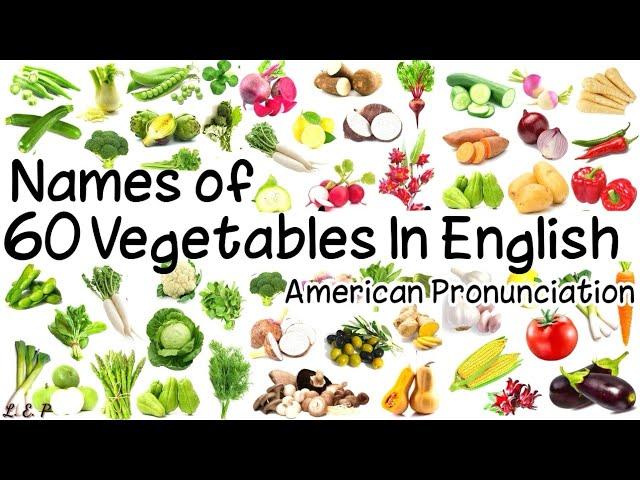 Learn Vegetables Vocabulary With Pictures/ English American Pronunciation US/ Names of 60 Vegetables