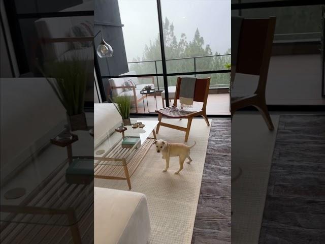 6AM Wake Up - Colombia - Solo Retired Female - Expat Life