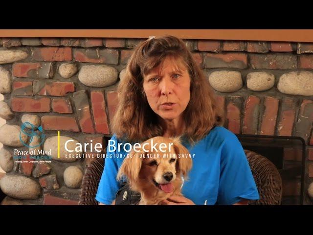 CARIE BROECKER | PEACE OF MIND DOG RESCUE STORIES SERIES