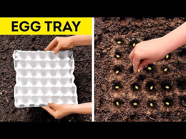 AMAZING GARDENING HACKS TO SAVE TIME AND MONEY 